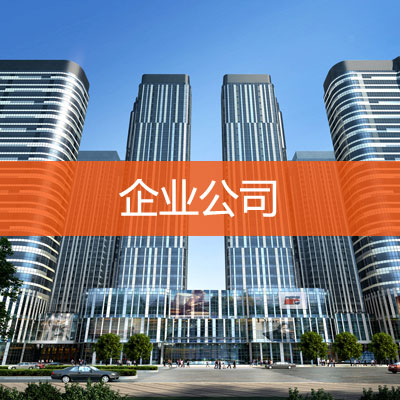 企业公司
